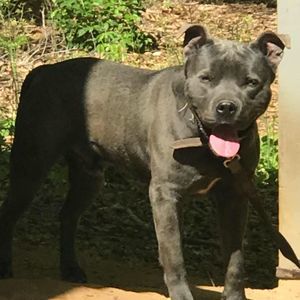 Meet your Posher, Jeffery